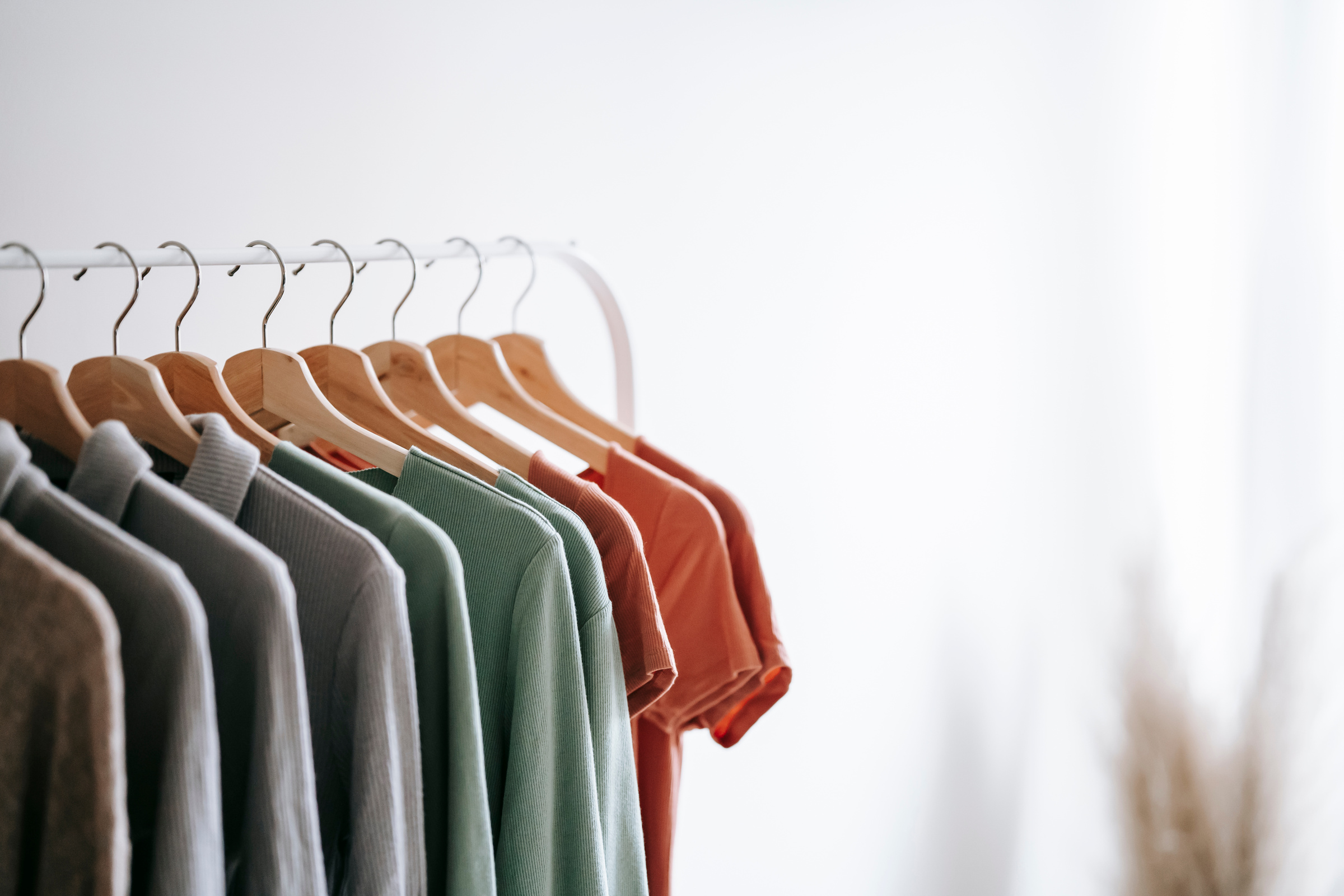 Home interior with garments on racks